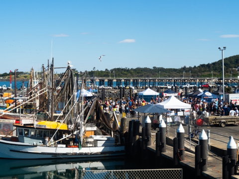 Ocean Harvest Festival - Lennox Head Accommodation 0