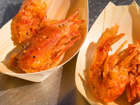Ocean Harvest Festival - Lennox Head Accommodation 1