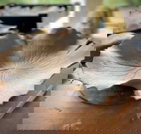 Online live streaming class DIY Clay Hand Building for Beginners - Lennox Head Accommodation