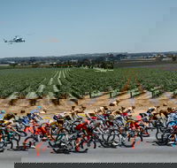 Santos Tour Down Under - Lennox Head Accommodation