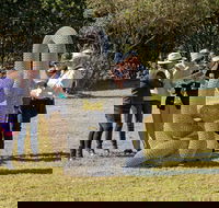 Sculpture for Clyde - Outdoor Exhibition - Lennox Head Accommodation