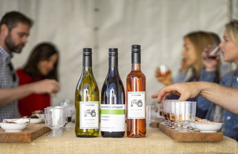 Southern Highlands Food And Wine Festival - Lennox Head Accommodation 2