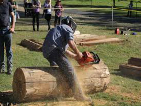 Tocal Field Days - Lennox Head Accommodation 0