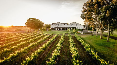 Aged Wine And Vintage Pies - Lennox Head Accommodation 2