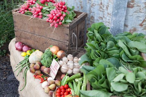 Ma Ma Creek Markets - Lennox Head Accommodation 0