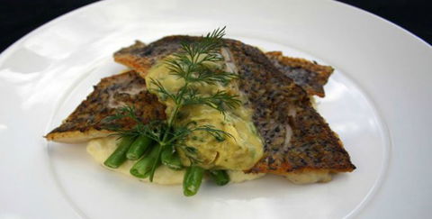 Aquarius Seafood Restaurant - Lennox Head Accommodation 2