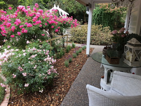 Clarendon Cottages - Lennox Head Accommodation 5