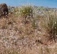 Schouten House - Lennox Head Accommodation