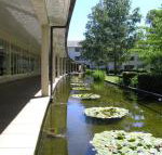 ANU University House Hotel - Lennox Head Accommodation