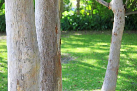 The Retreat Port Stephens - Lennox Head Accommodation 2