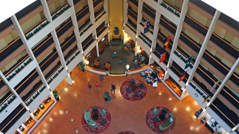 Rydges Sydney Harbour - Lennox Head Accommodation 5