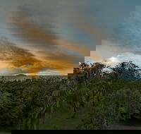 Ocean International - Lennox Head Accommodation
