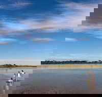 Discovery Parks - Harrington - Lennox Head Accommodation