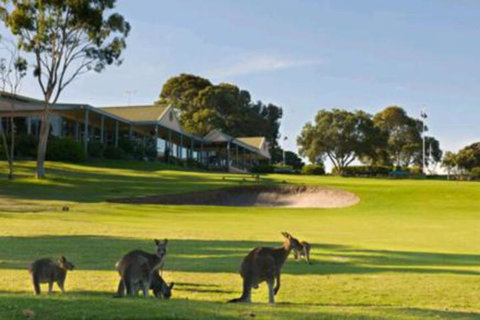 Early Settlers Motel Tocumwal - Lennox Head Accommodation 6