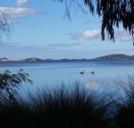 Lilacs Waterfront Villas  Cottages - Lennox Head Accommodation