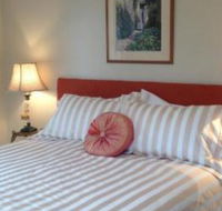 Every Man  His Dog Vineyard - Lennox Head Accommodation
