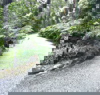 Mountain Lodge - Lennox Head Accommodation