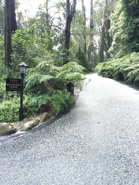 Mountain Lodge - Lennox Head Accommodation 0