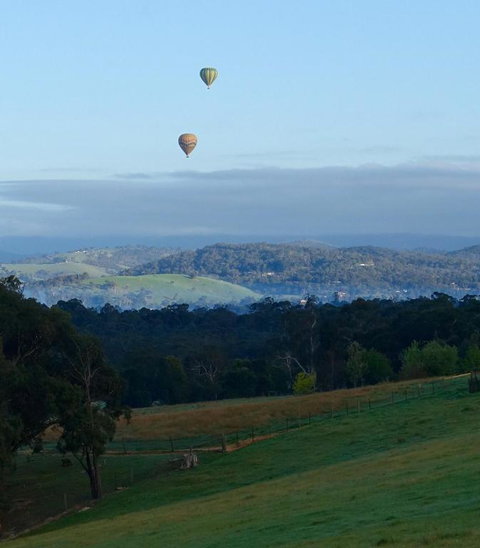 The Little House On The Hill - Lennox Head Accommodation 5