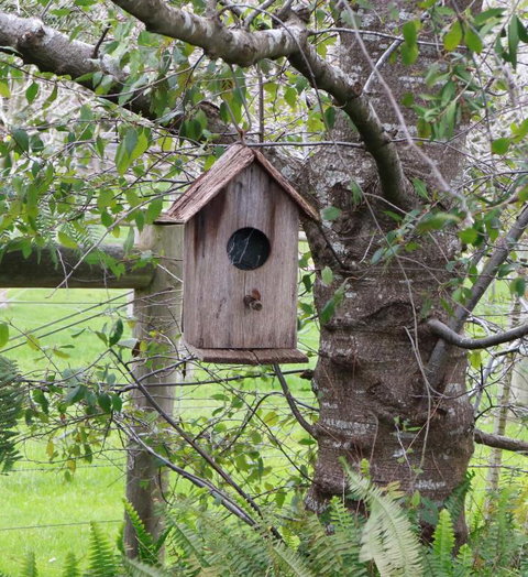 The Little House On The Hill - Lennox Head Accommodation 2