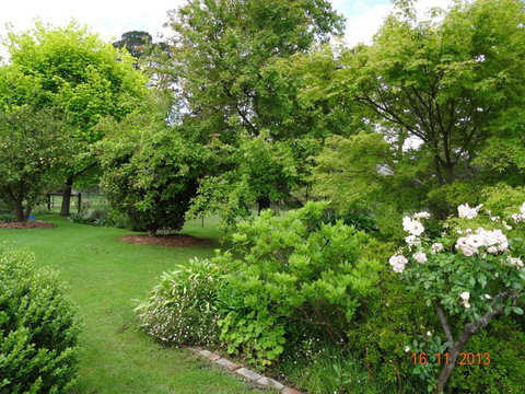 The Little House On The Hill - Lennox Head Accommodation 1