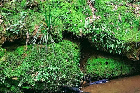 Stokers Lodge - Lennox Head Accommodation 5