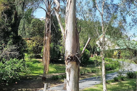 Stokers Lodge - Lennox Head Accommodation 1