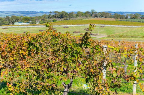 Sun & Surf Aldinga Beach Apartment - Lennox Head Accommodation 6