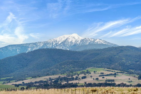 Off Mountain Accommodation - Lennox Head Accommodation 2