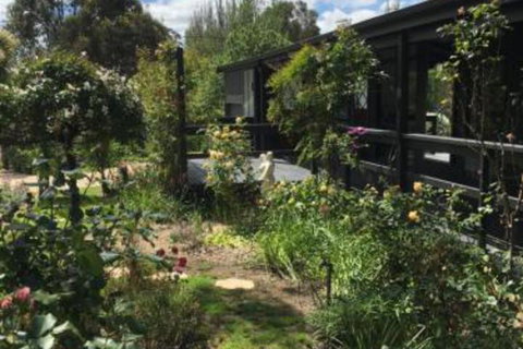 Hilltop Too - Lennox Head Accommodation 6