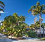 Mollymook Caravan Park - Lennox Head Accommodation