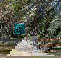 Blueberry Hills On Comleroy - Lennox Head Accommodation