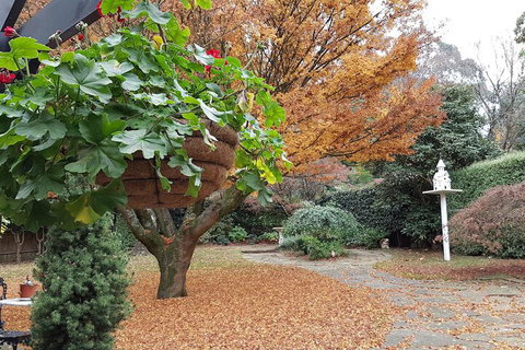 Villa DAmour - Lennox Head Accommodation 2