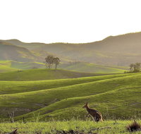 Ketchup's Bank Glamping - Lennox Head Accommodation