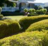 Whiskey Gully Wines - Lennox Head Accommodation
