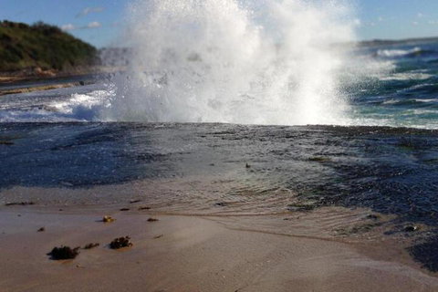 Serenity Lodge For Couples - Lennox Head Accommodation 7