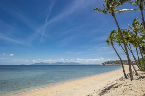 Pure Magnetic Villa 1 - Lennox Head Accommodation 4