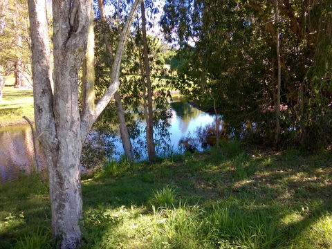 Eumundi Cottages Cottage 1 - Lennox Head Accommodation 4
