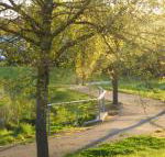 A Suite Spot in the Hills - Lennox Head Accommodation