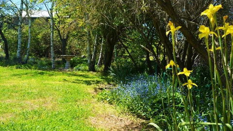 Greentrees Guest House - Lennox Head Accommodation 1