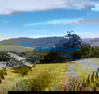 Eaglehawk Rainforest Retreat - Lennox Head Accommodation