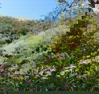 Copeland Manse - Lennox Head Accommodation