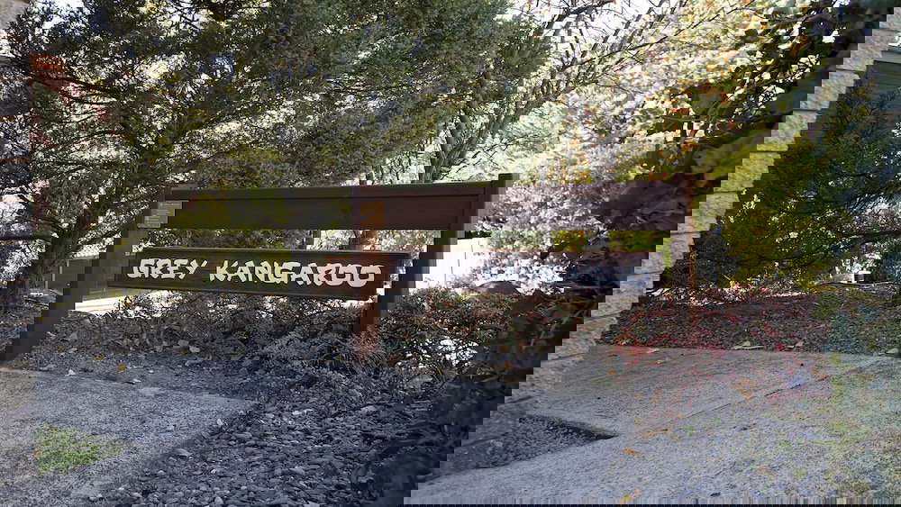 Jindabyne NSW Lennox Head Accommodation