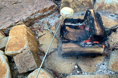 Forest Edge Cottage At Merrow Cottages - Lennox Head Accommodation 4