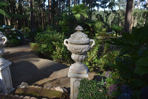 Forest Edge Cottage At Merrow Cottages - Lennox Head Accommodation 2