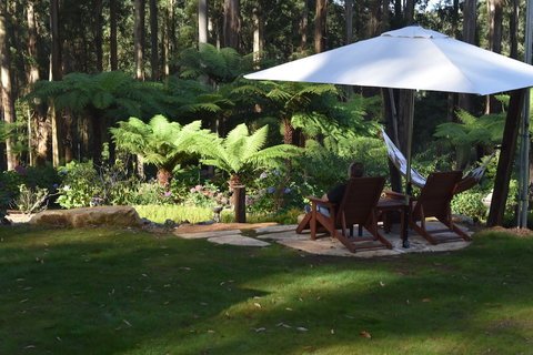 Forest Edge Cottage At Merrow Cottages - Lennox Head Accommodation 5