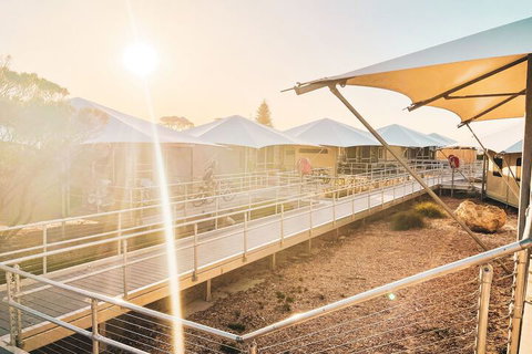 Discovery Rottnest Island - Lennox Head Accommodation 5