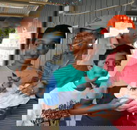 Holiday Haven Burrill Lake - Lennox Head Accommodation