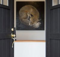 Fox on the Run - Motel Kilmore - Lennox Head Accommodation