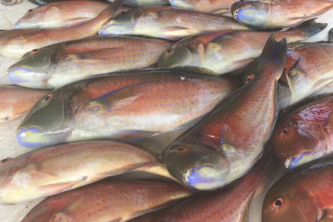 DRIFTWOOD - Lennox Head Accommodation 5